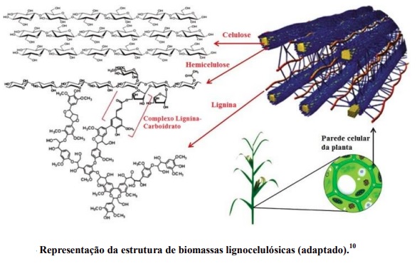 Resíduos agroindustriais e produção de biodiesel a partir de biomassas residuais