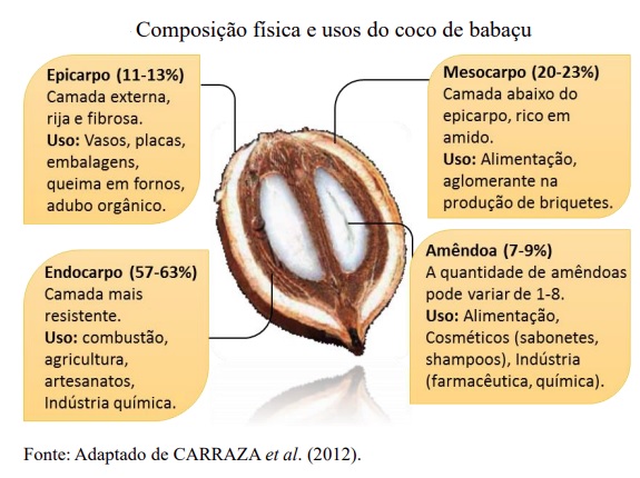 Aviação foca em biocombustíveis a partir de tecnologias alternativas a matérias-primas renováveis