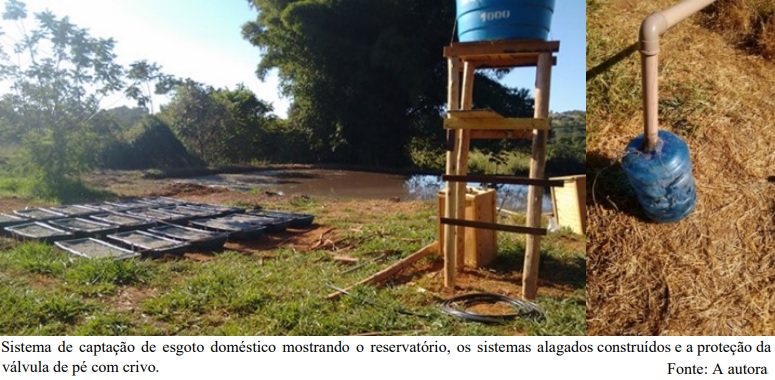 Sistema ecológico para tratamento de esgoto pode ser alternativa para comunidades rurais