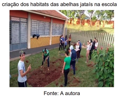 Apicultura pode ser um instrumento para levar educação ambiental às escolas do campo
