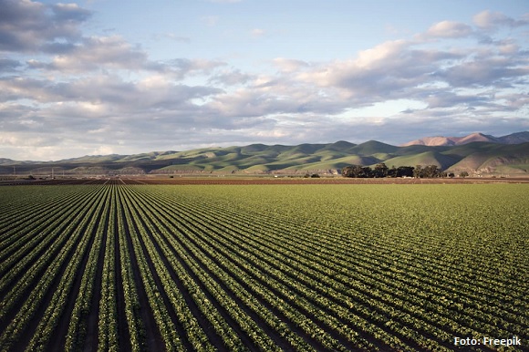 Práticas de economia circular na agricultura geram benefícios ambientais e vantagens competitivas