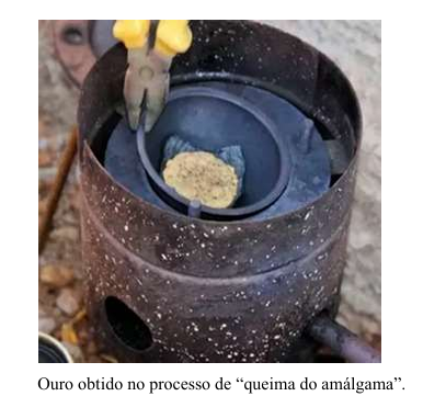 Impactos ambientais decorrentes da mineração artesanal na Amazônia