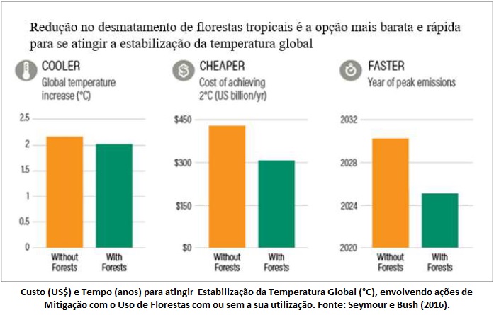 Proteção às florestas tropicais e mercado de carbono para a mitigação das mudanças climáticas