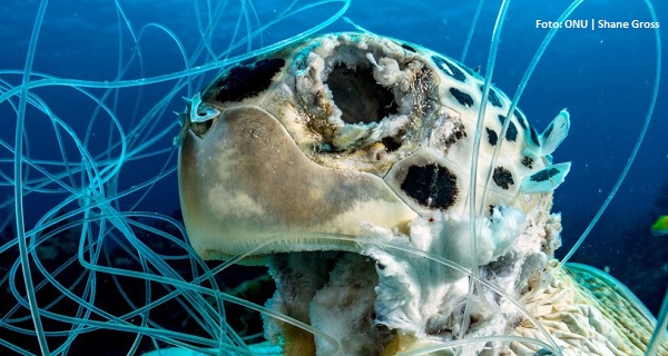 Poluição marinha por plásticos exige engajamento multissetorial