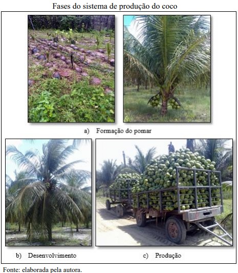 Avaliação do impacto ambiental na produção de coco
