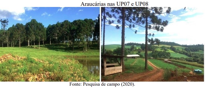 Avaliação da sustentabilidade em benefício da agricultura familiar